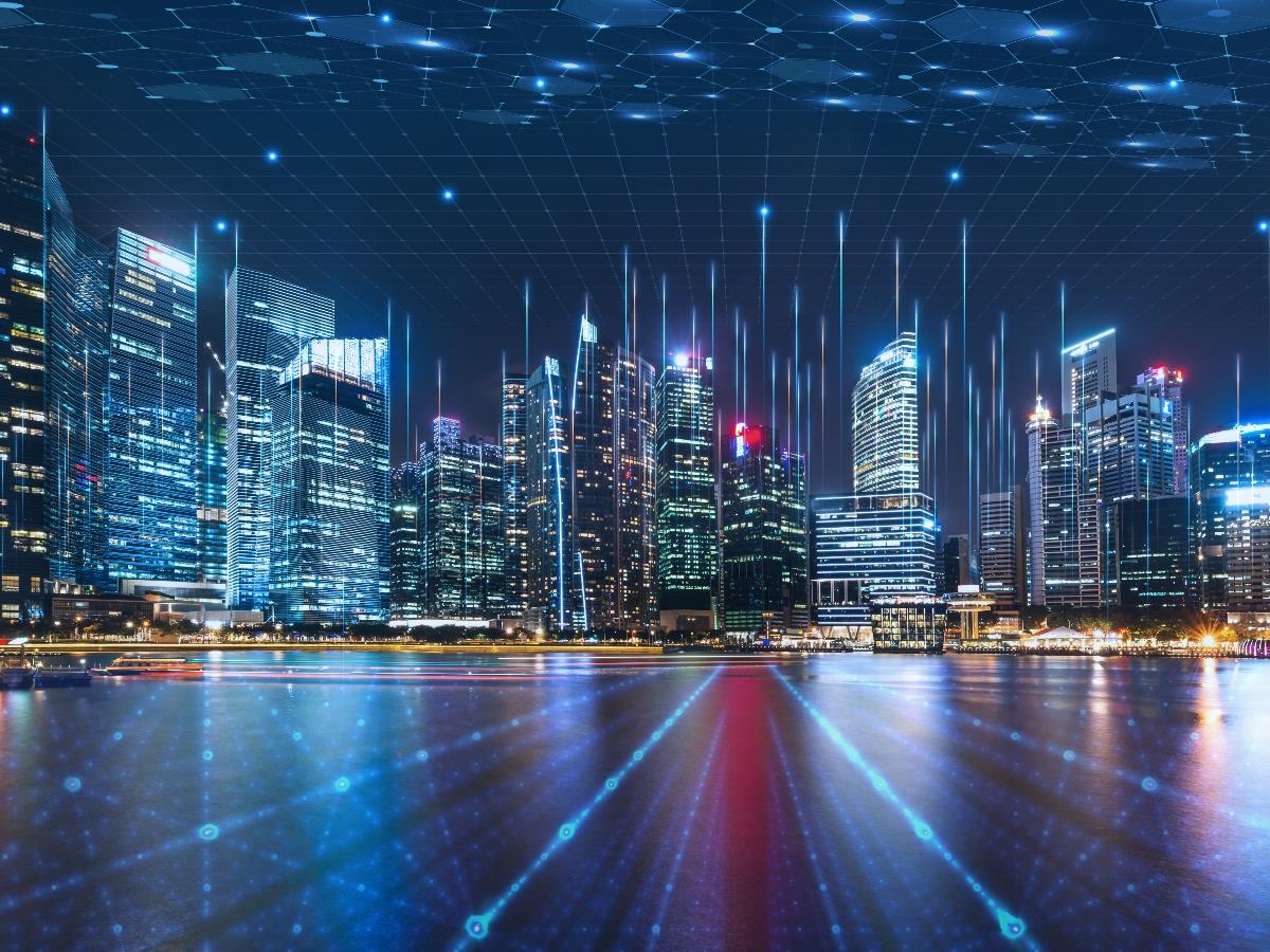 person on phone and computer